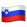 slovenian icon
